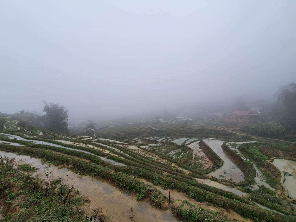 sa pa hiking fields first day fog 2