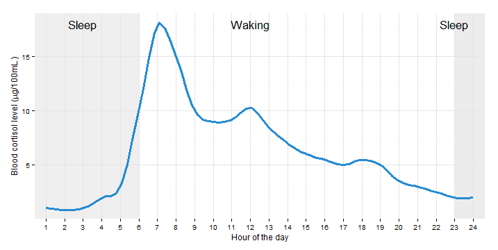 sleep hacking best time for coffee cortisol throughout the day